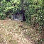 Img 161 33 Large.jpg