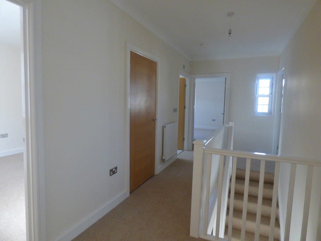 Img 329 13 Large.jpg