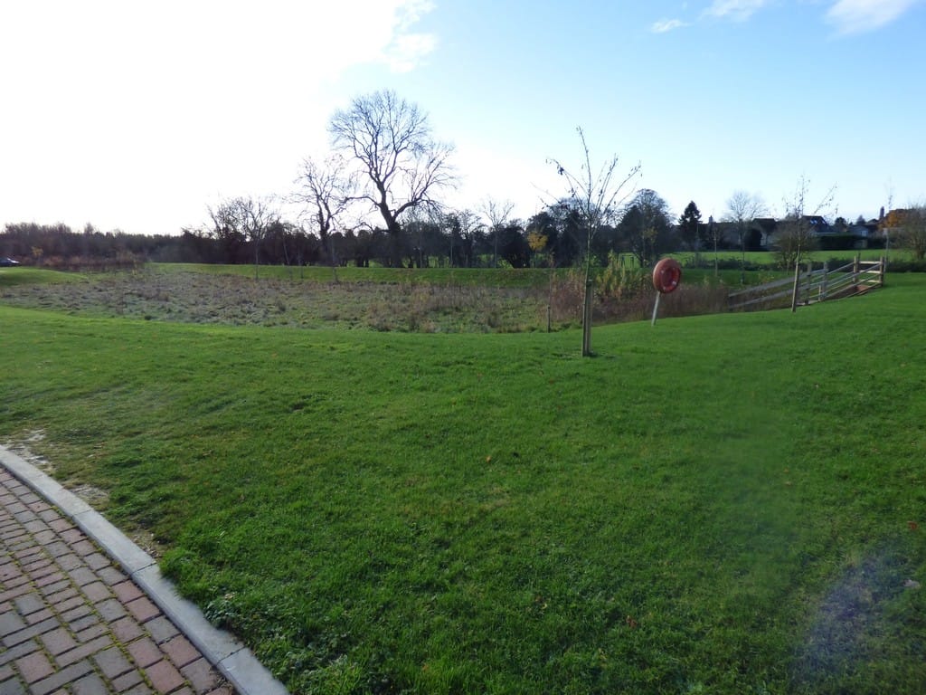 Img 339 24 Large.jpg