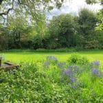 Img 346 23 Large.jpg