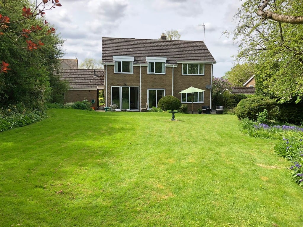 Img 346 24 Large.jpg