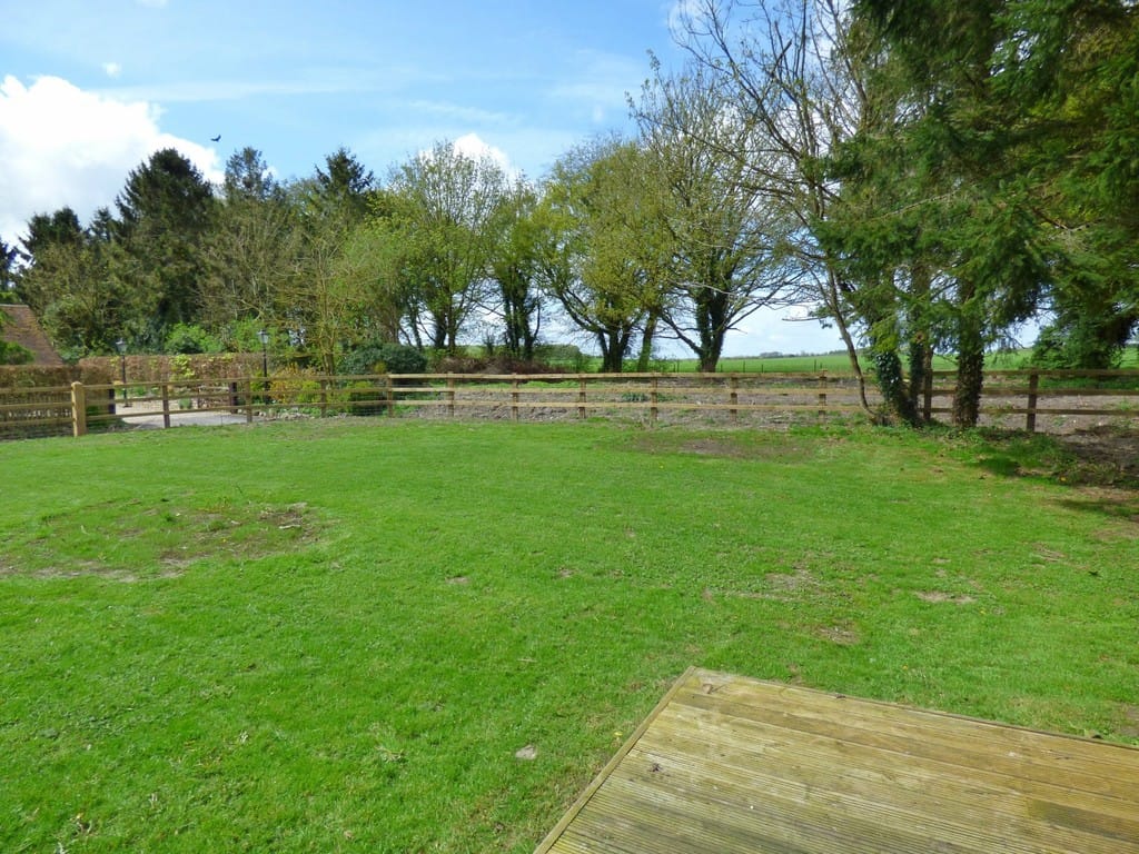 Img 369 5 Large.jpg