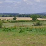 Img 413 2 Large.jpg
