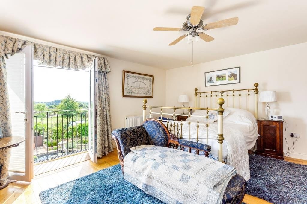 Img 422 13 Large.jpg