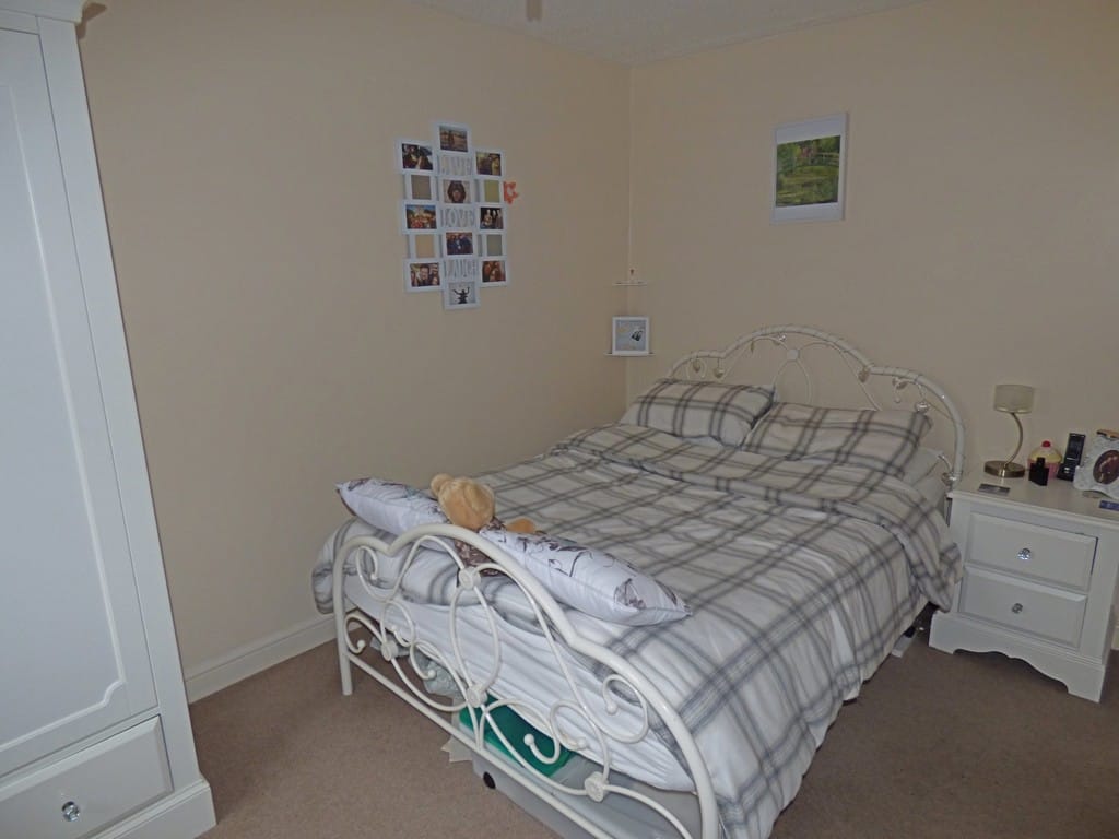 Img 446 5 Large.jpg