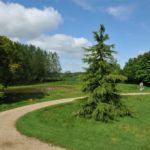 Img 449 2 Large.jpg