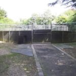 Img 460 10 Large.jpg
