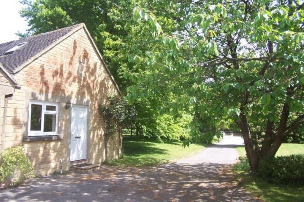 Img 460 14 Large.jpg
