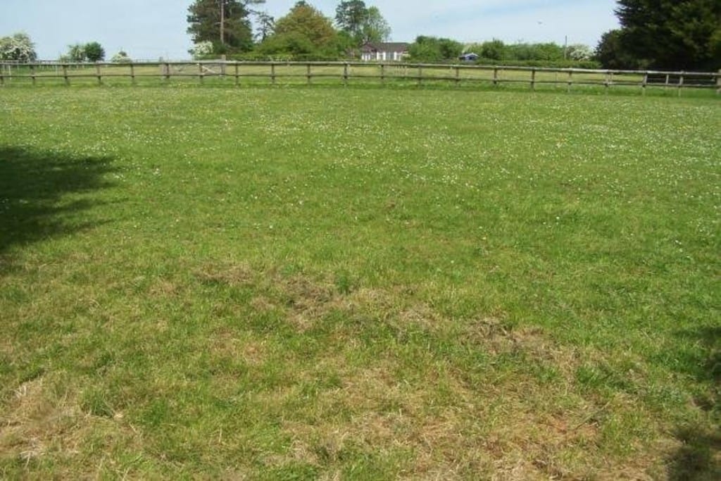 Img 460 3 Large.jpg