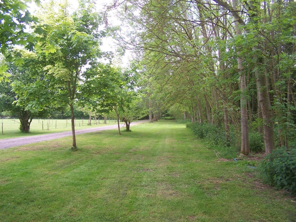 Img 487 11 Large.jpg