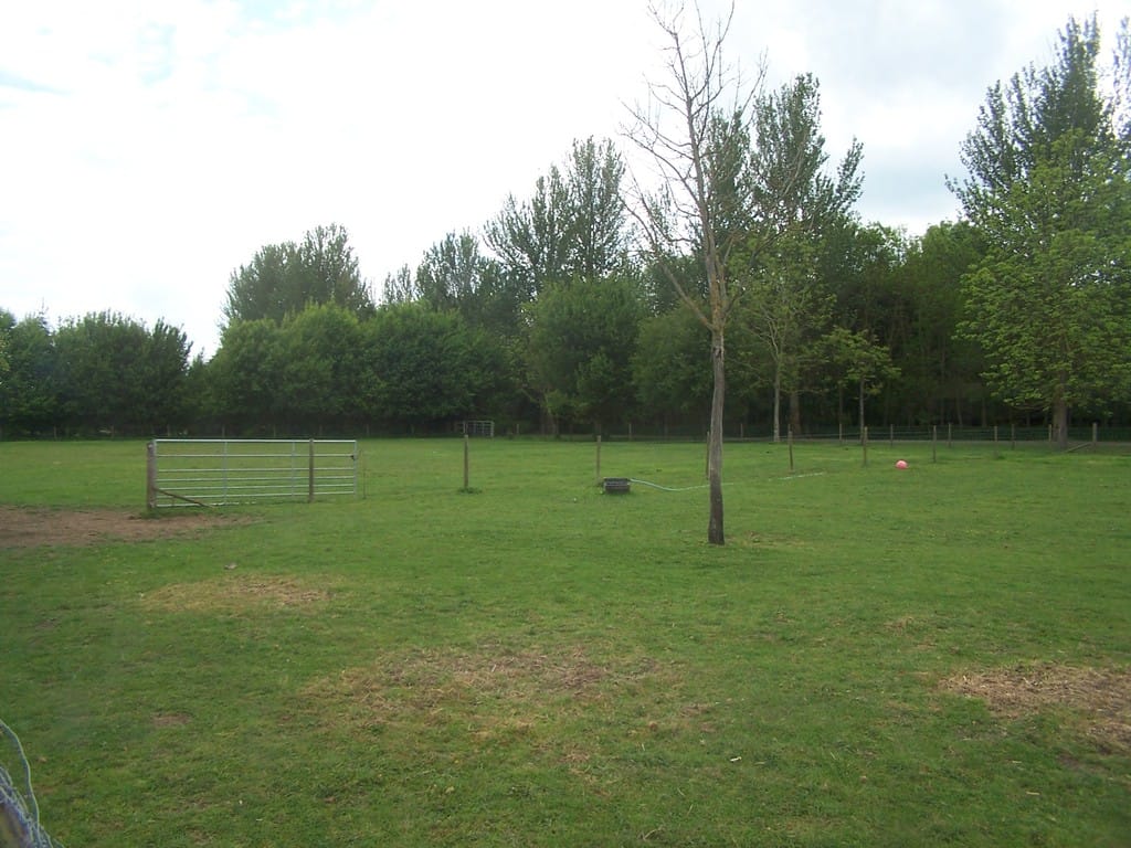 Img 487 14 Large.jpg