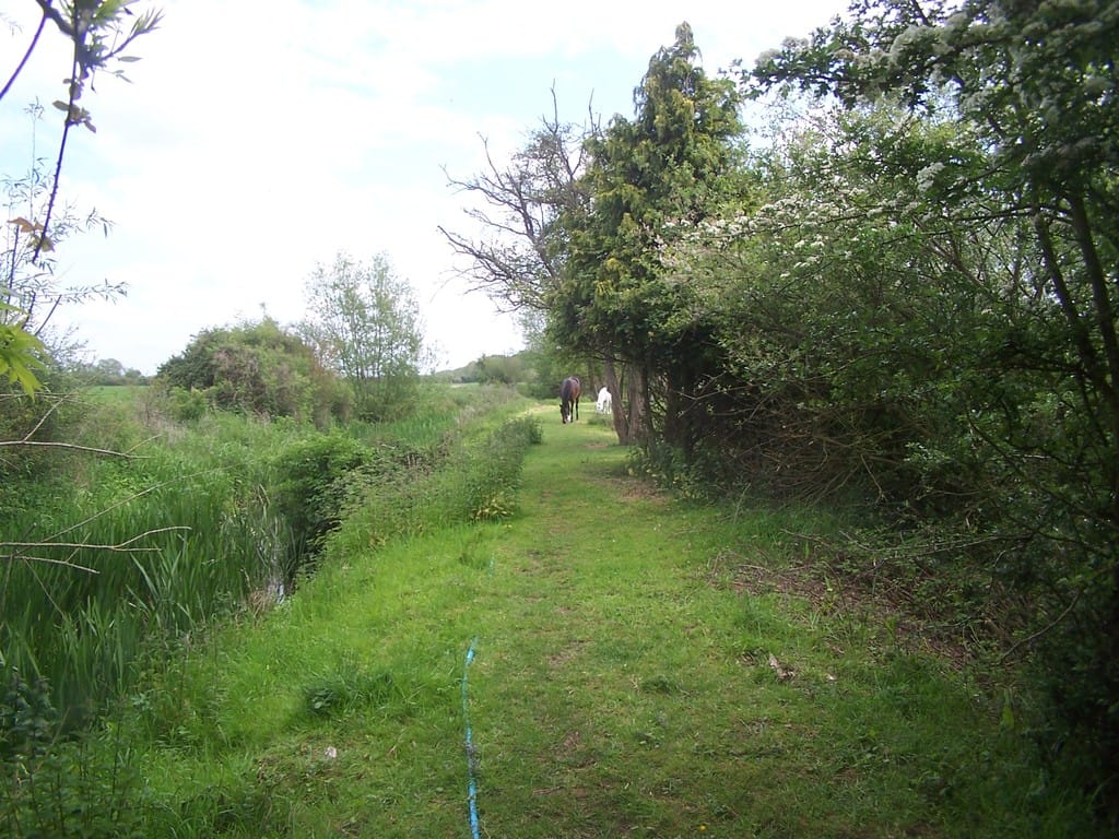 Img 487 2 Large.jpg