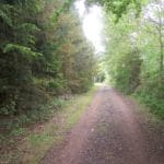Img 487 4 Large.jpg