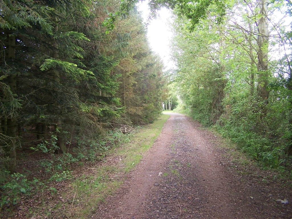 Img 487 4 Large.jpg