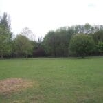 Img 487 8 Large.jpg
