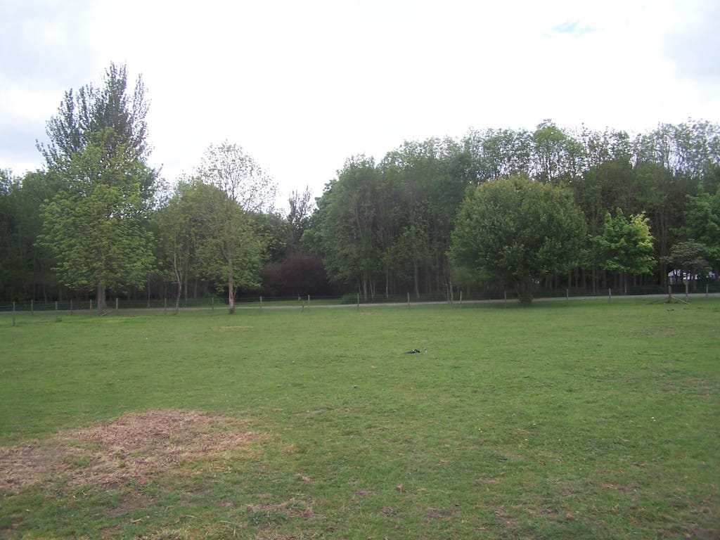 Img 487 8 Large.jpg